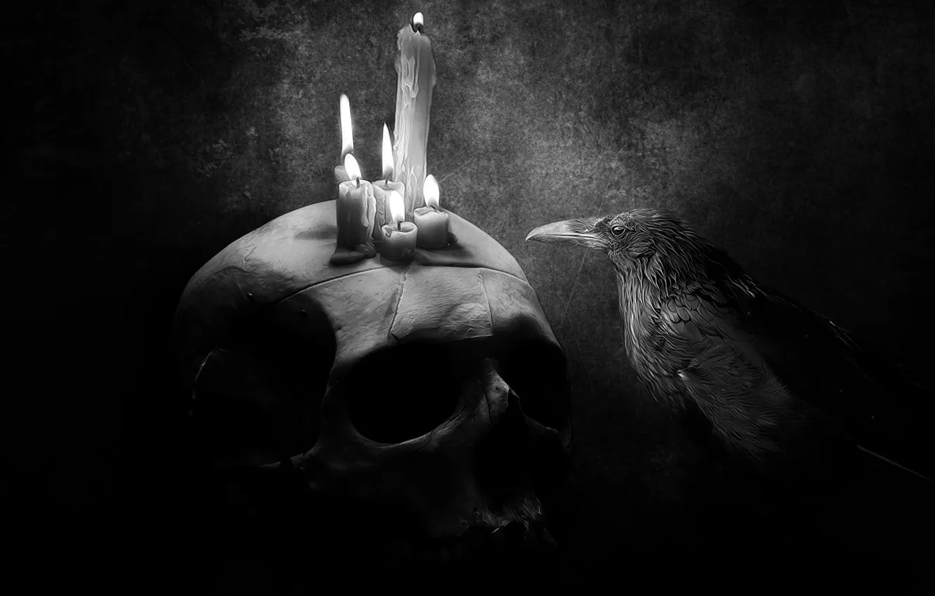 Photo wallpaper background, skull, candles, Raven, black and white