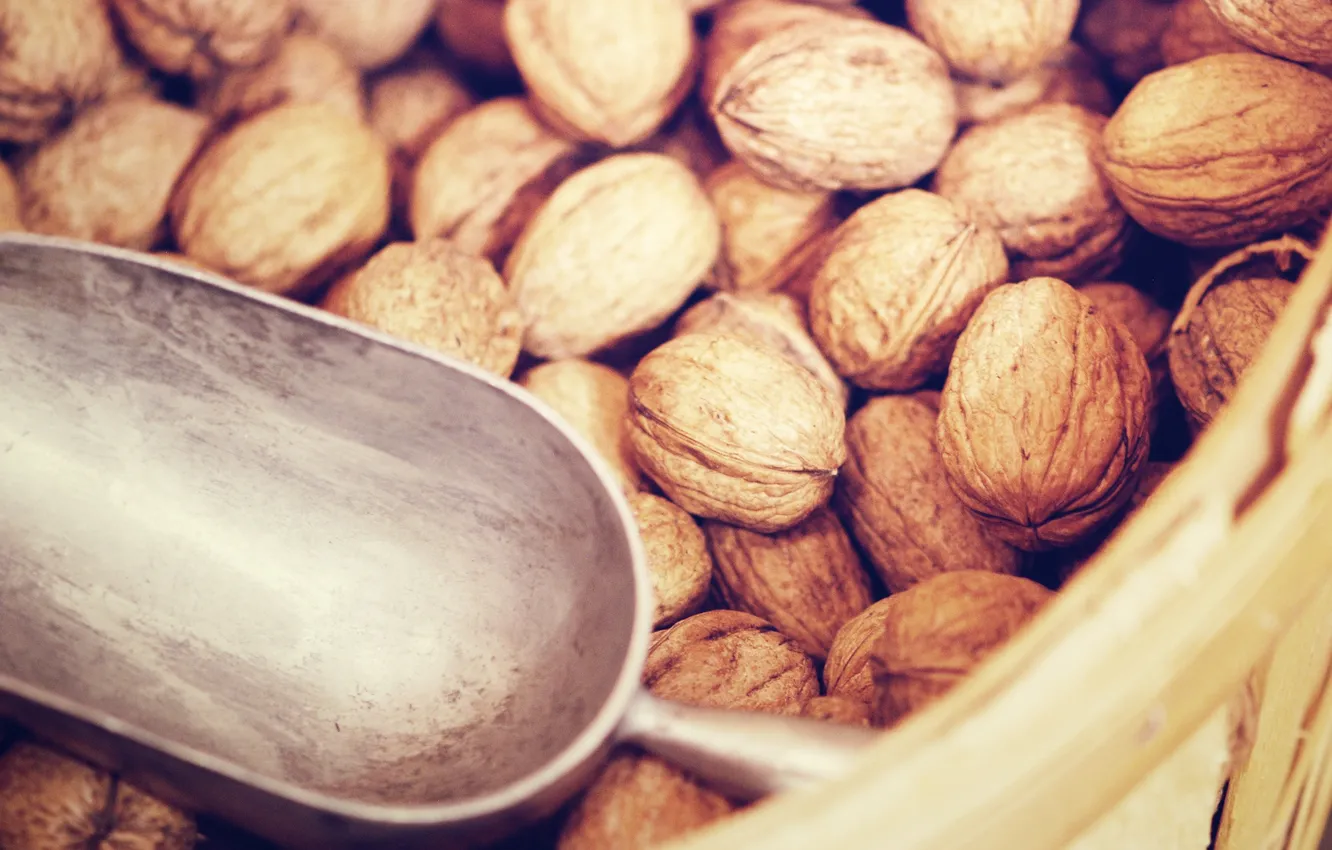 Photo wallpaper background, widescreen, Wallpaper, food, wallpaper, nuts, widescreen, background