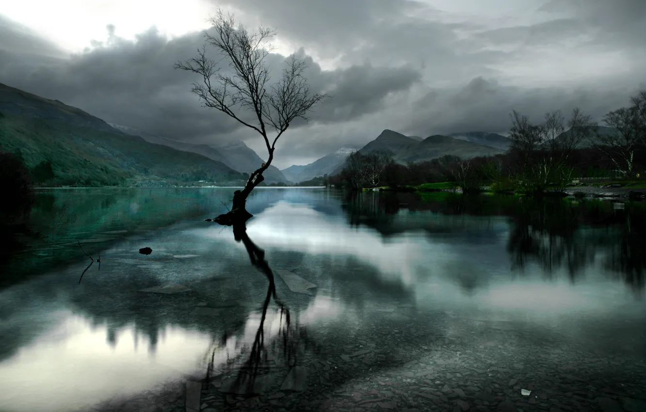 Photo wallpaper trees, mountains, branches, clouds, fog, lake, reflection, overcast