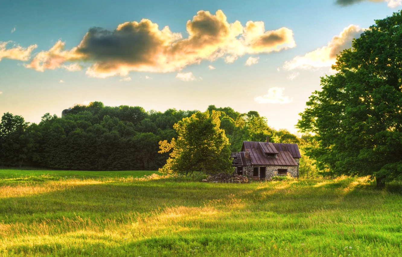 Photo wallpaper forest, clouds, glade, house