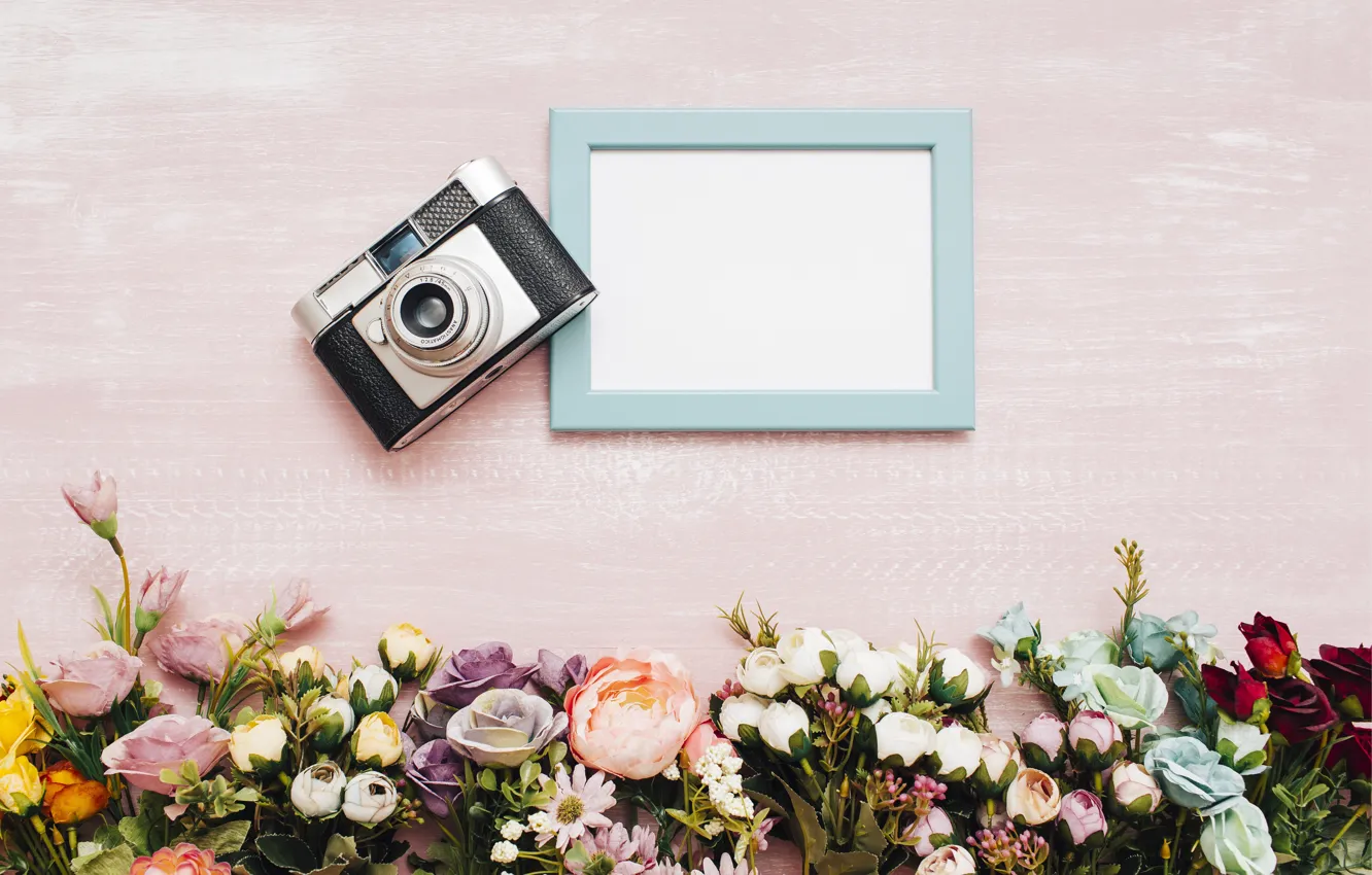 Photo wallpaper flowers, background, frame, The camera