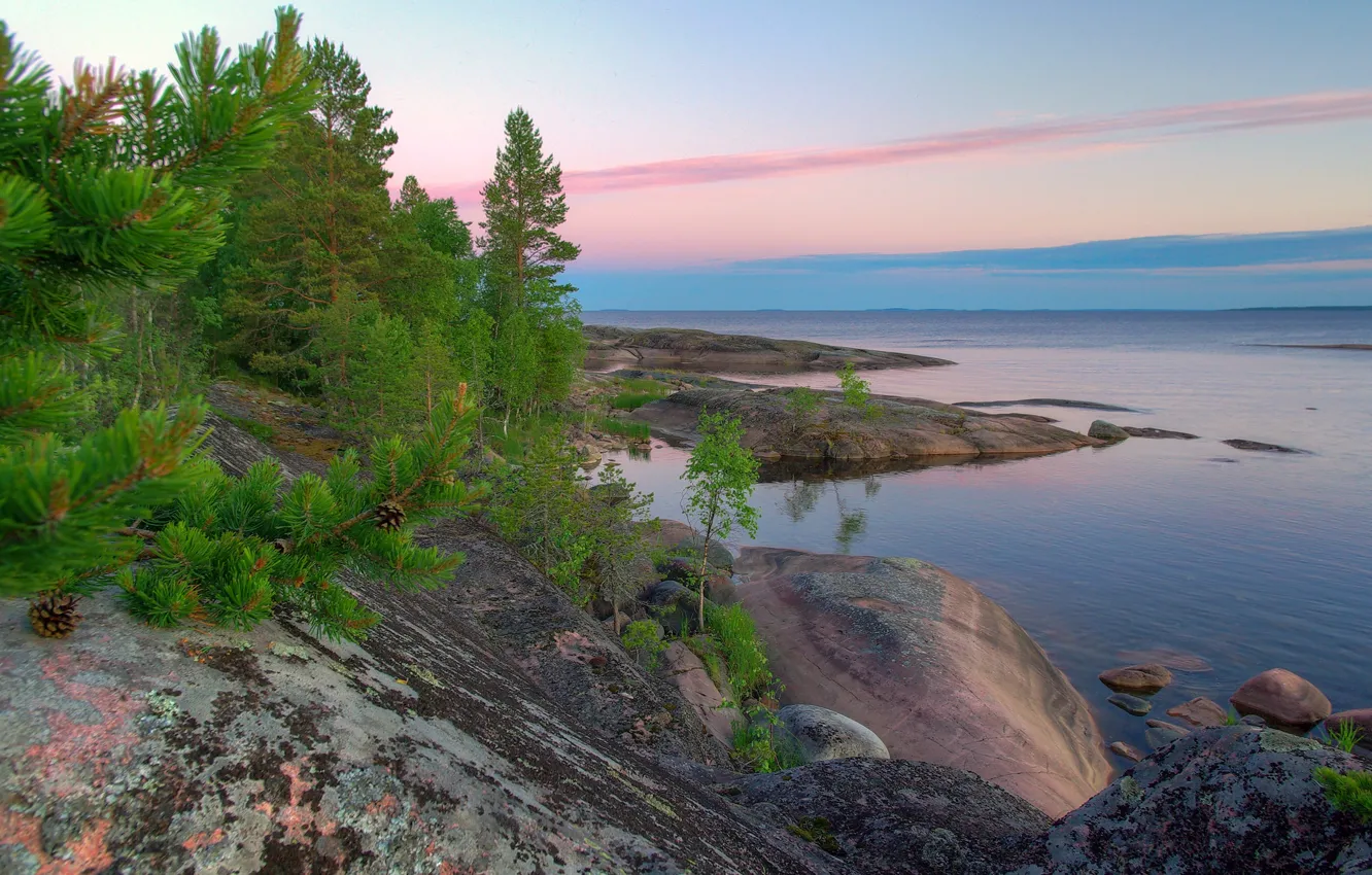 Photo wallpaper trees, landscape, nature, stones, morning, Lake Ladoga, Karelia, Ladoga