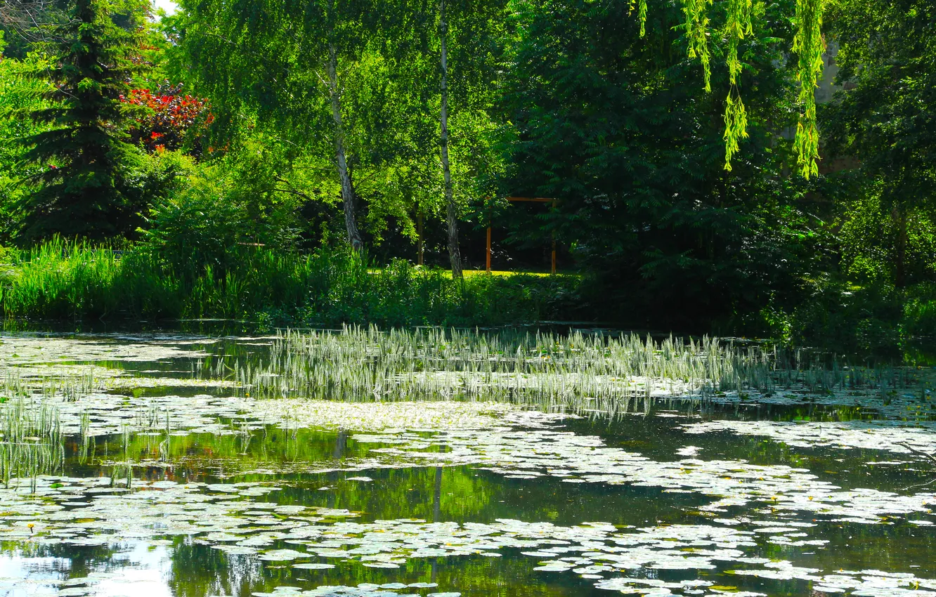 Photo wallpaper water, lake, pond