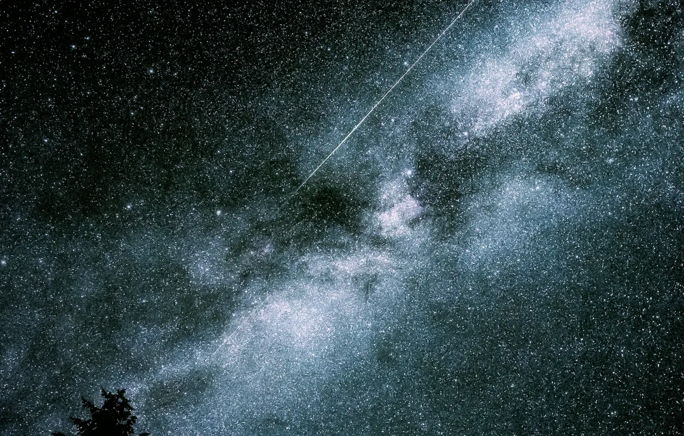 Photo wallpaper tree, Milky Way, meteor