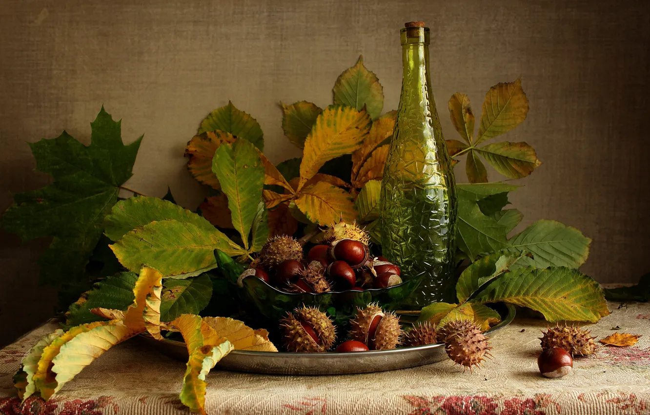 Photo wallpaper leaves, bottle, blanket, fruit, bowl, still life, dish, chestnuts
