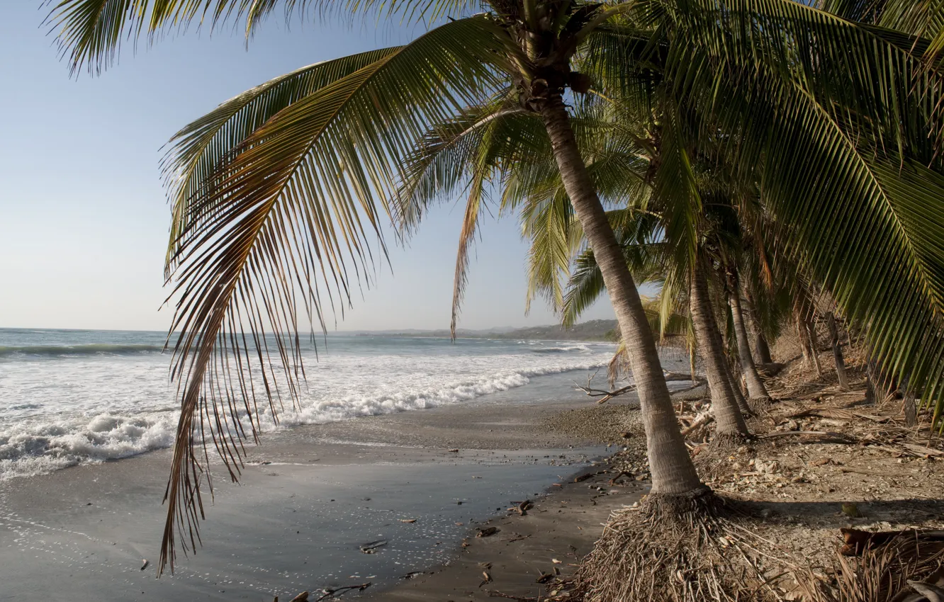 Photo wallpaper sand, sea, beach, summer, the sky, the sun, palm trees, shore