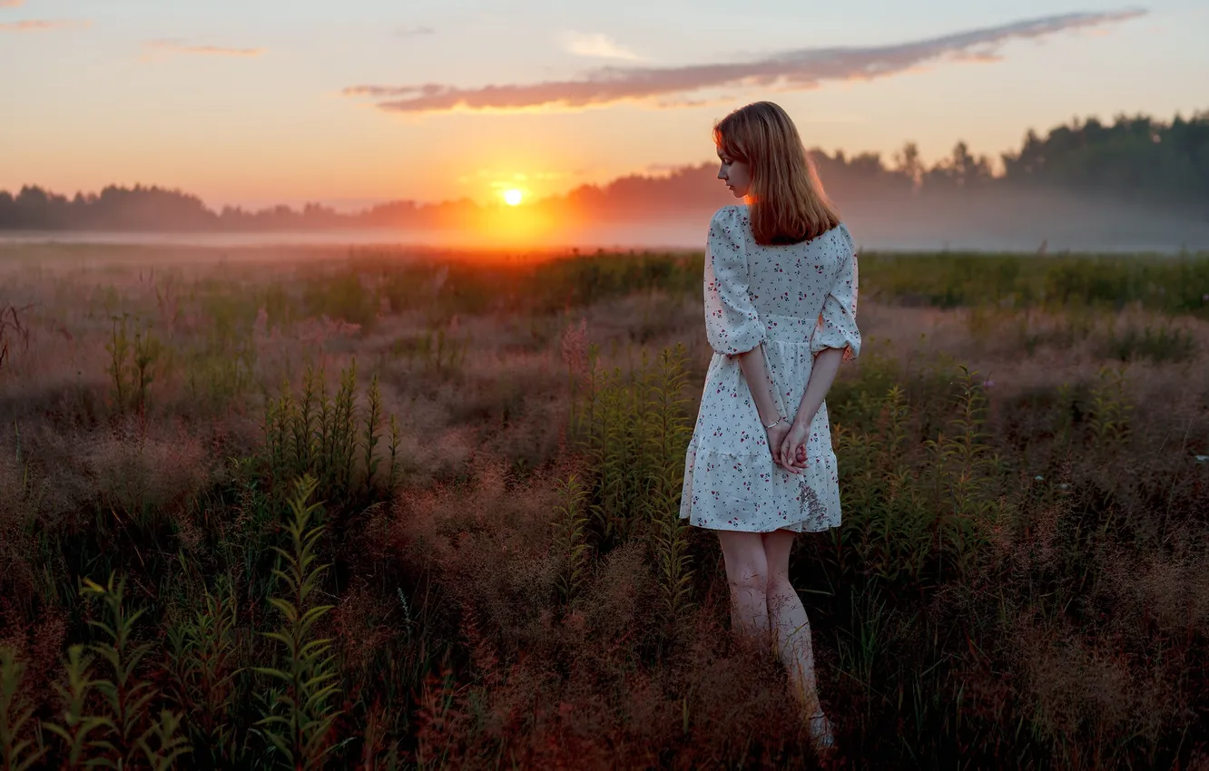 Photo wallpaper FOREST, NATURE, GRASS, TOMANCE, FIELD, SUNSET, SUNDRESS, The BUSHES