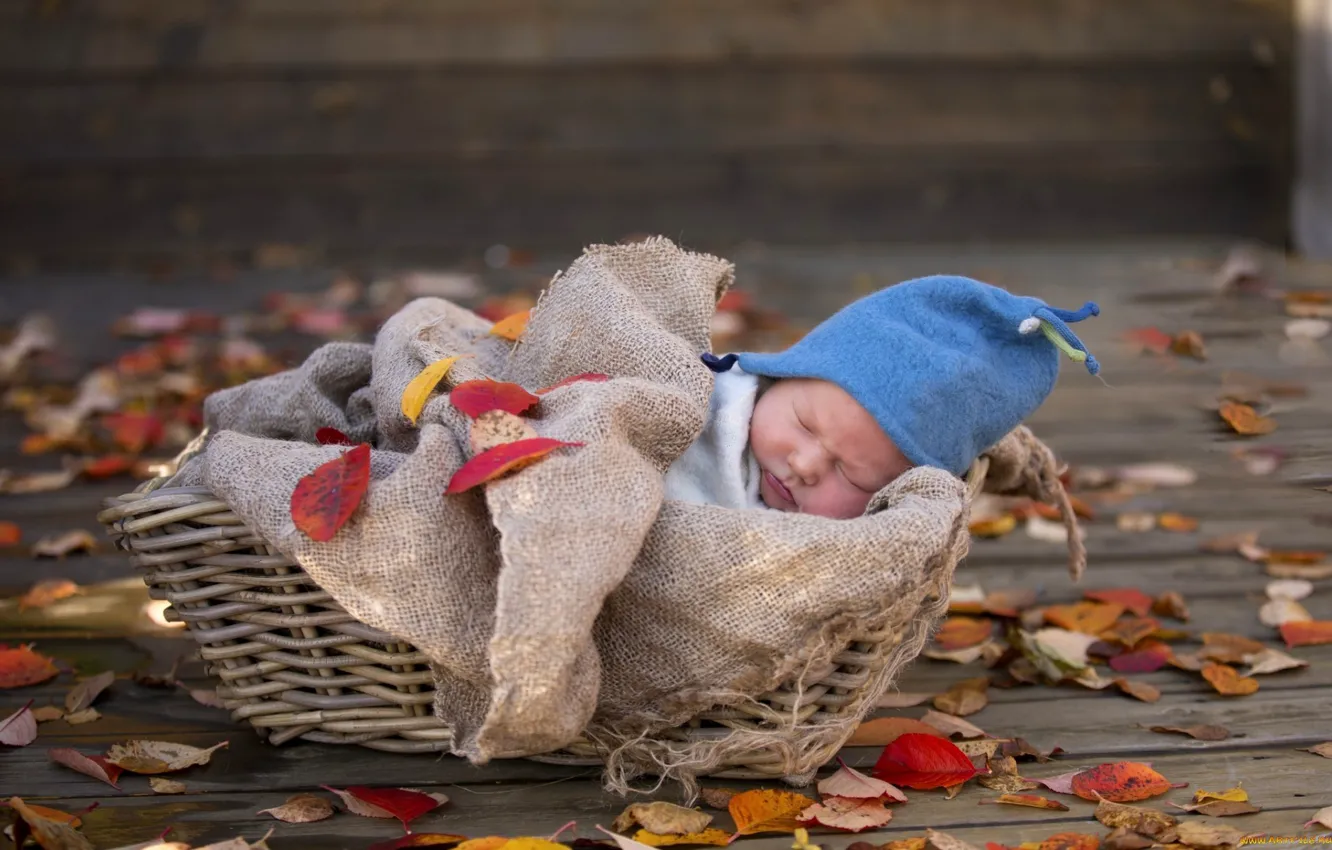 Photo wallpaper basket, child, sleep, newborn