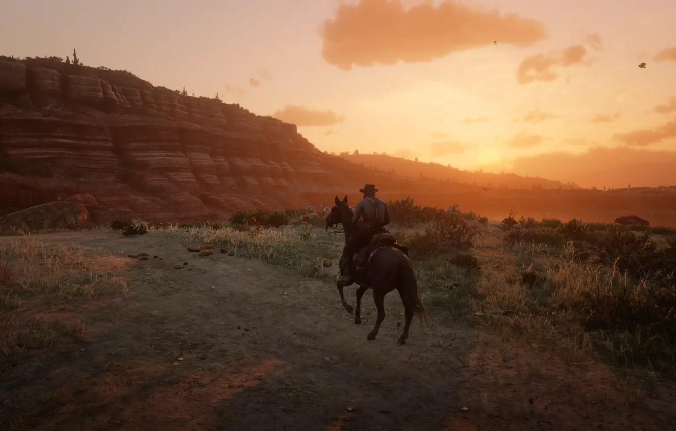 Photo wallpaper sunset, cowboy, Red Dead Redemption 2