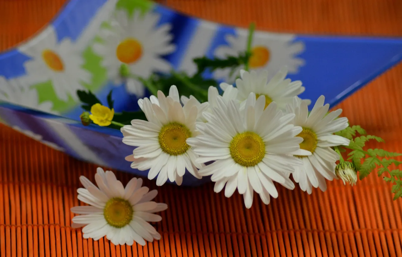 Photo wallpaper macro, chamomile, a bunch
