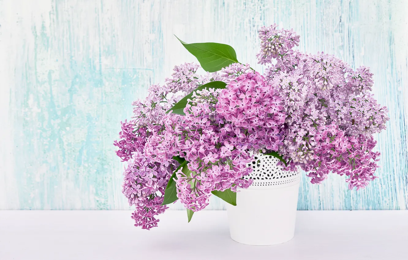Photo wallpaper bouquet, spring, vase, lilac