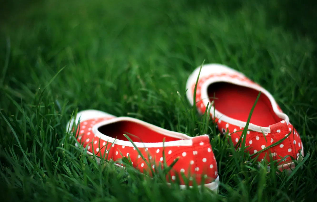Photo wallpaper green, shoes, Grass, polka dot