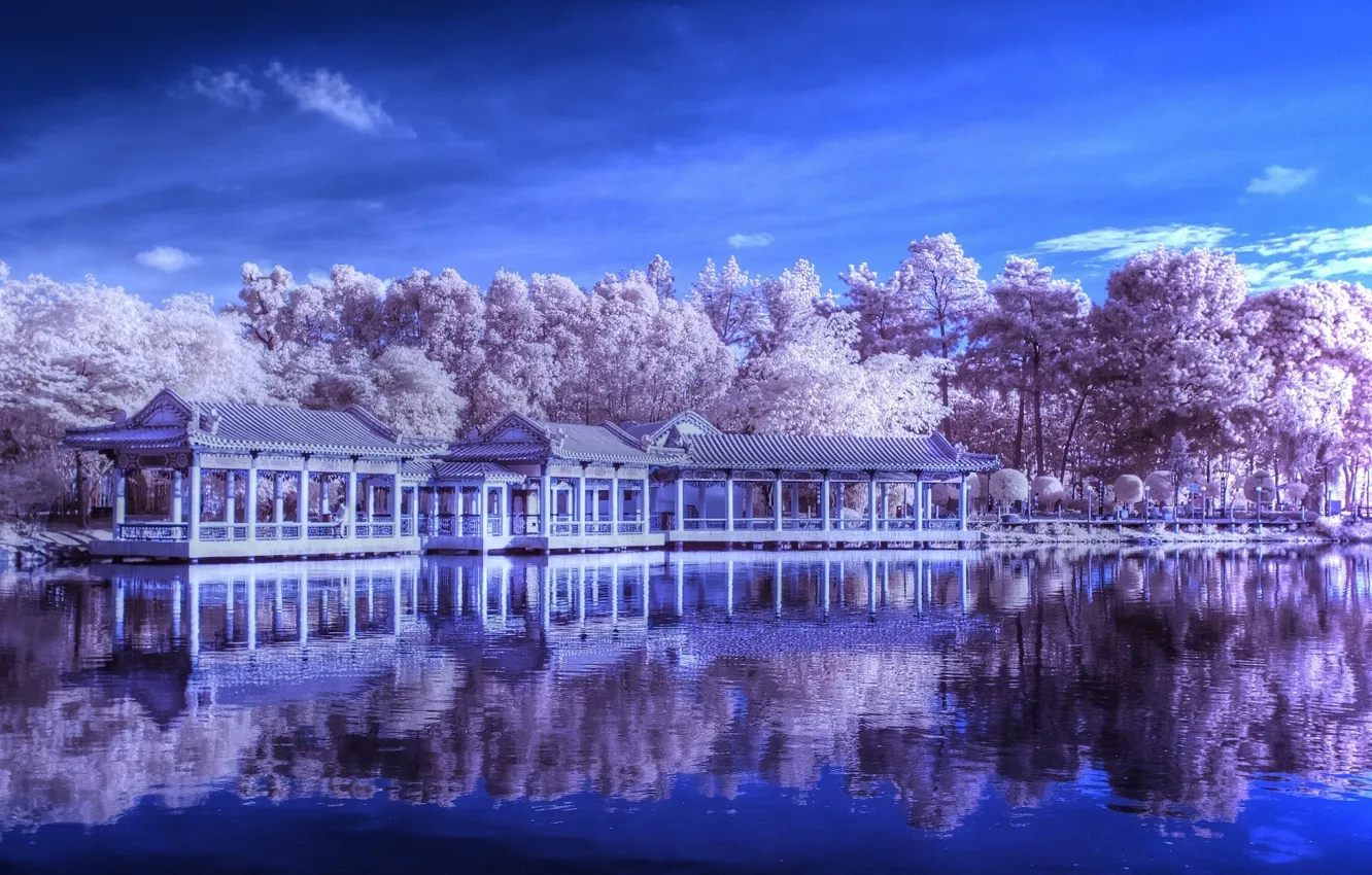 Photo wallpaper city, wallpaper, building