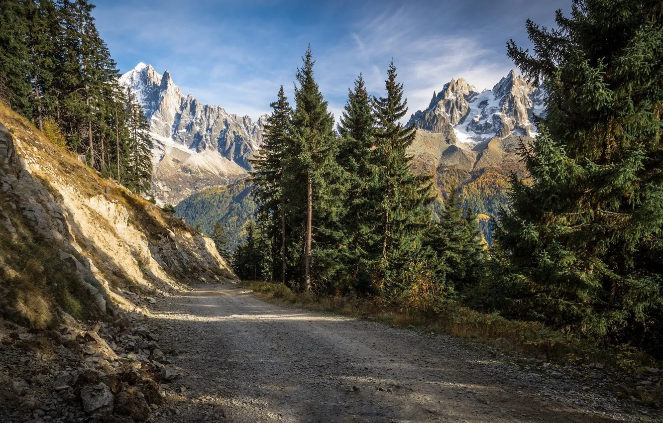 Photo wallpaper road, trees, mountains