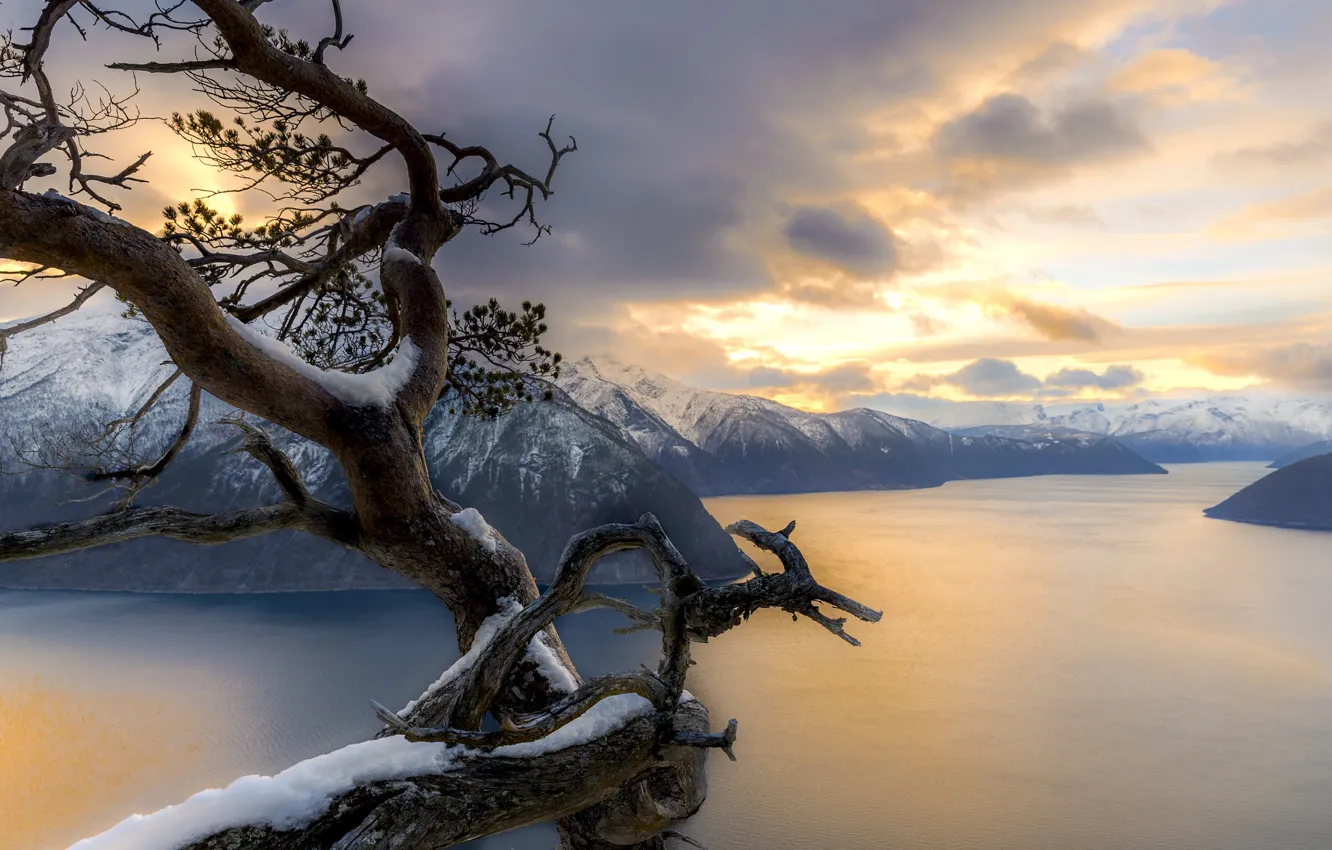 Photo wallpaper winter, snow, landscape, mountains, nature, tree, Norway, Bay
