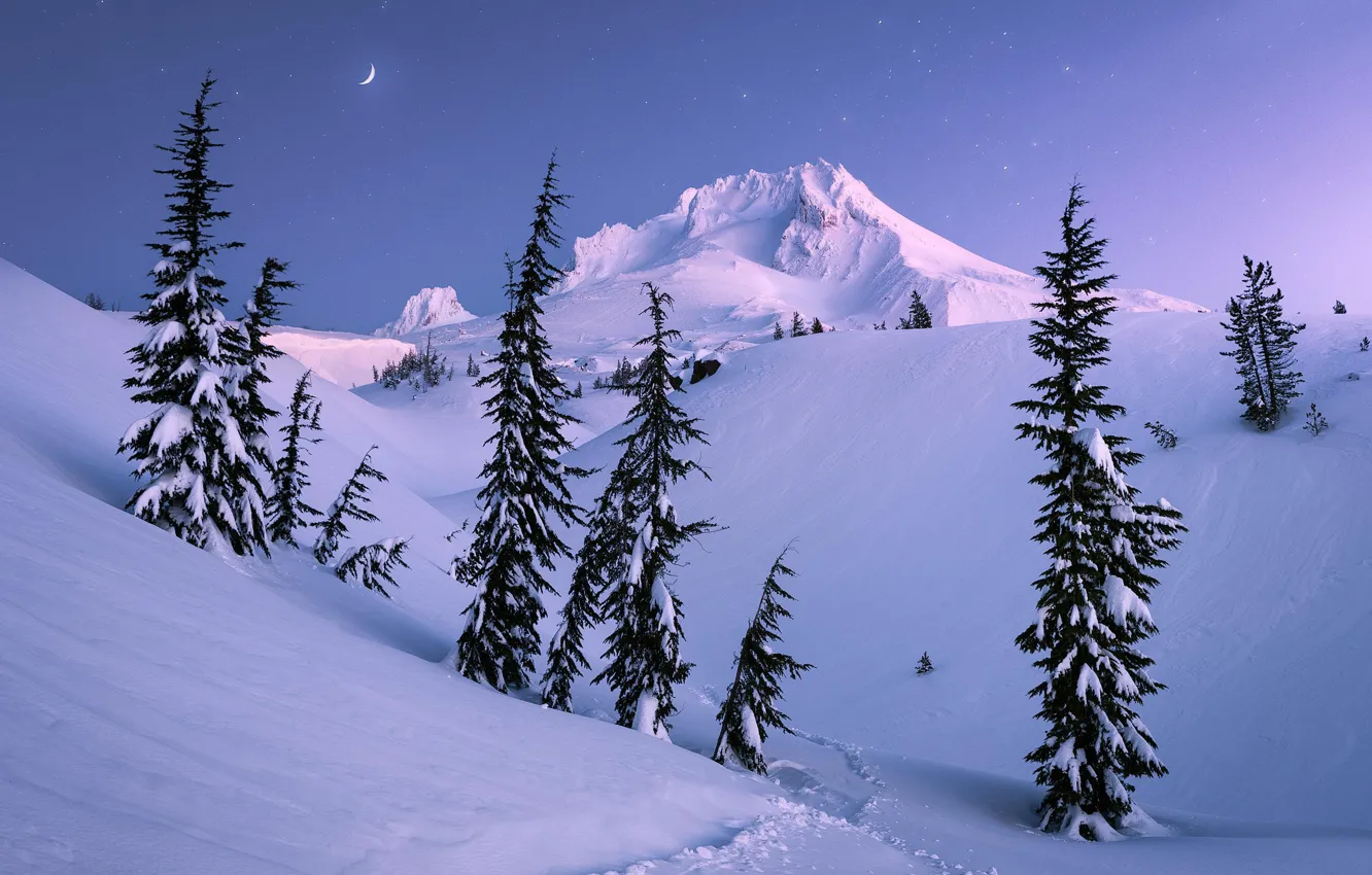 Photo wallpaper winter, mountain, snow