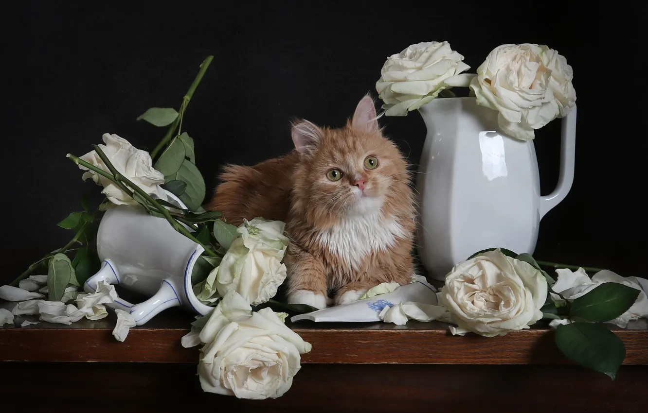Photo wallpaper cat, cat, look, flowers, table, roses, bouquet, dishes