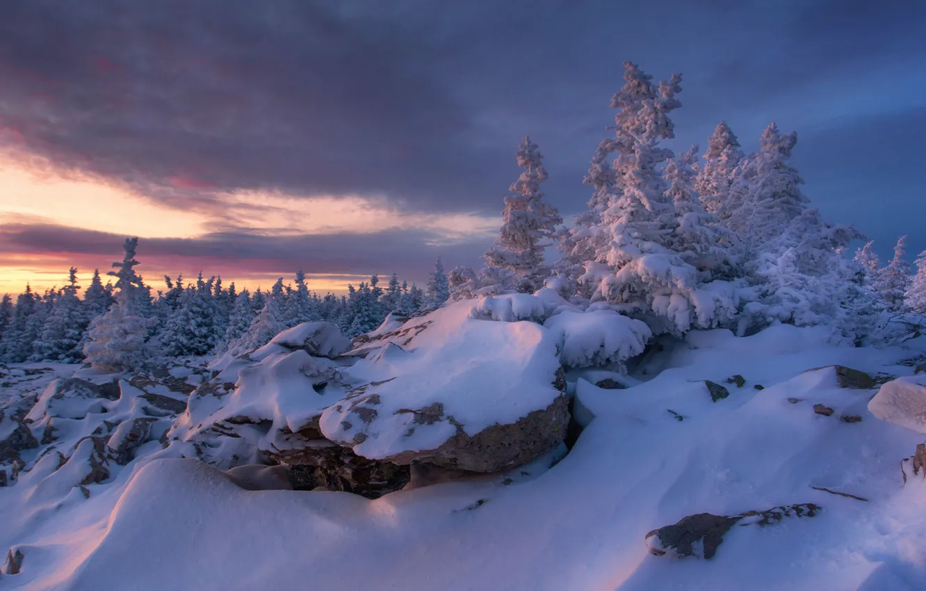 Photo wallpaper winter, snow, trees, Russia, South Ural, Chelyabinsk oblast, Tatiana Biryukova, Ridge Zyuratkul