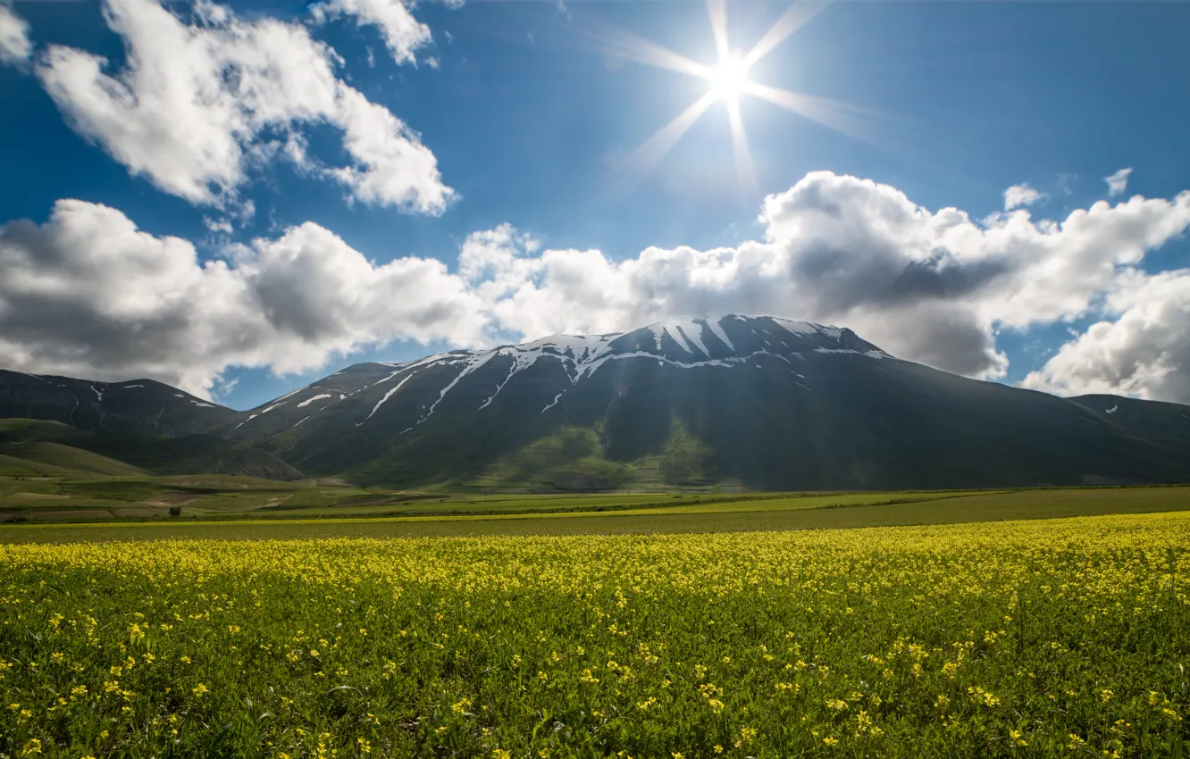 Photo wallpaper the sun, flowers, Italy, sunshine, Italy, flowers, Castelluccio, Vector