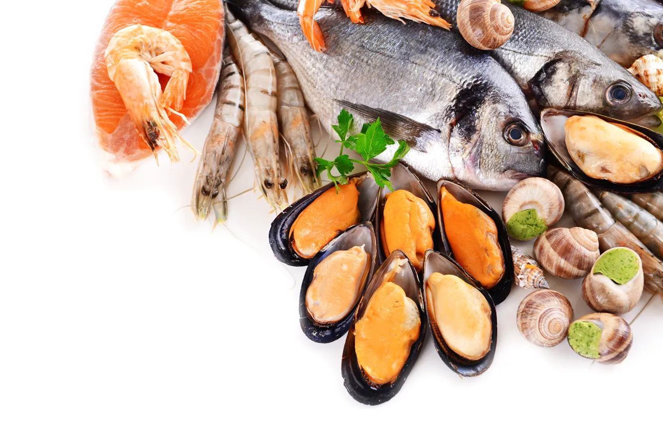 Wallpaper fish, shrimp, mussels, cuts, shellfish for mobile and desktop ...