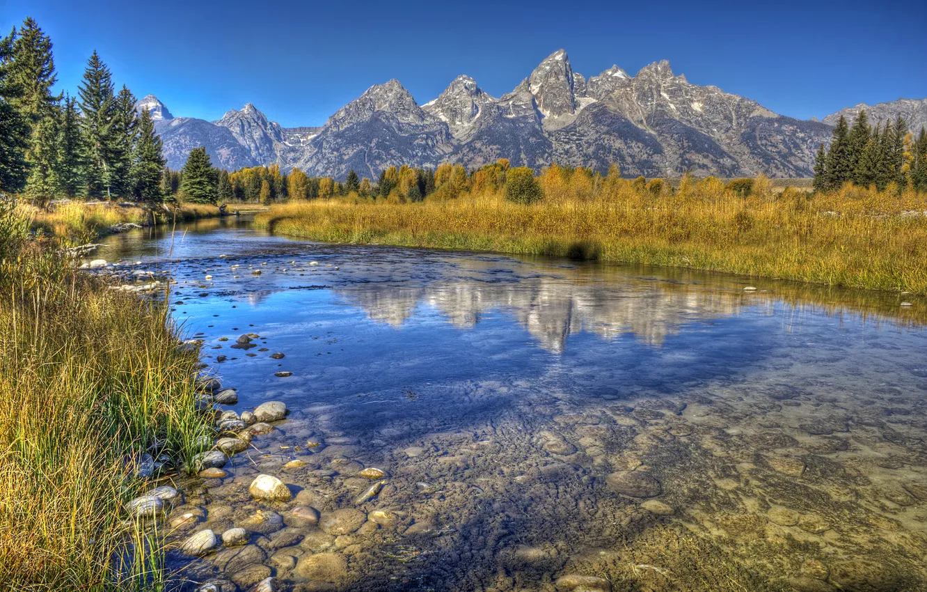 Photo wallpaper autumn, grass, trees, mountains, stream, stones, the bottom, USA