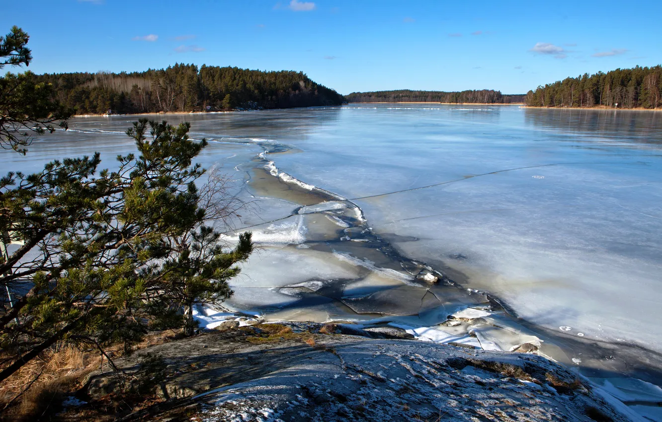 Photo wallpaper ice, forest, the sky, snow, trees, lake, Sweden