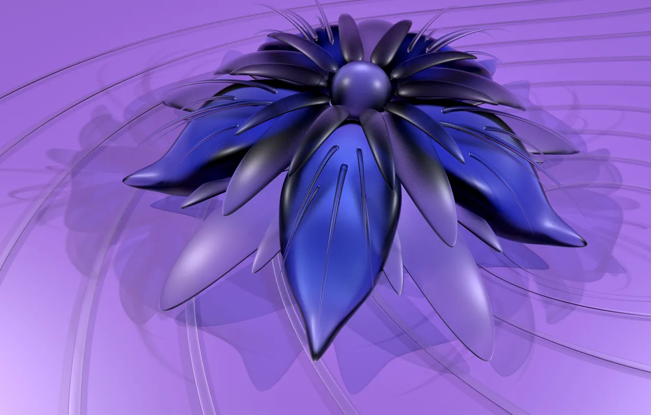 Photo wallpaper flowers, strip, shadow, petals