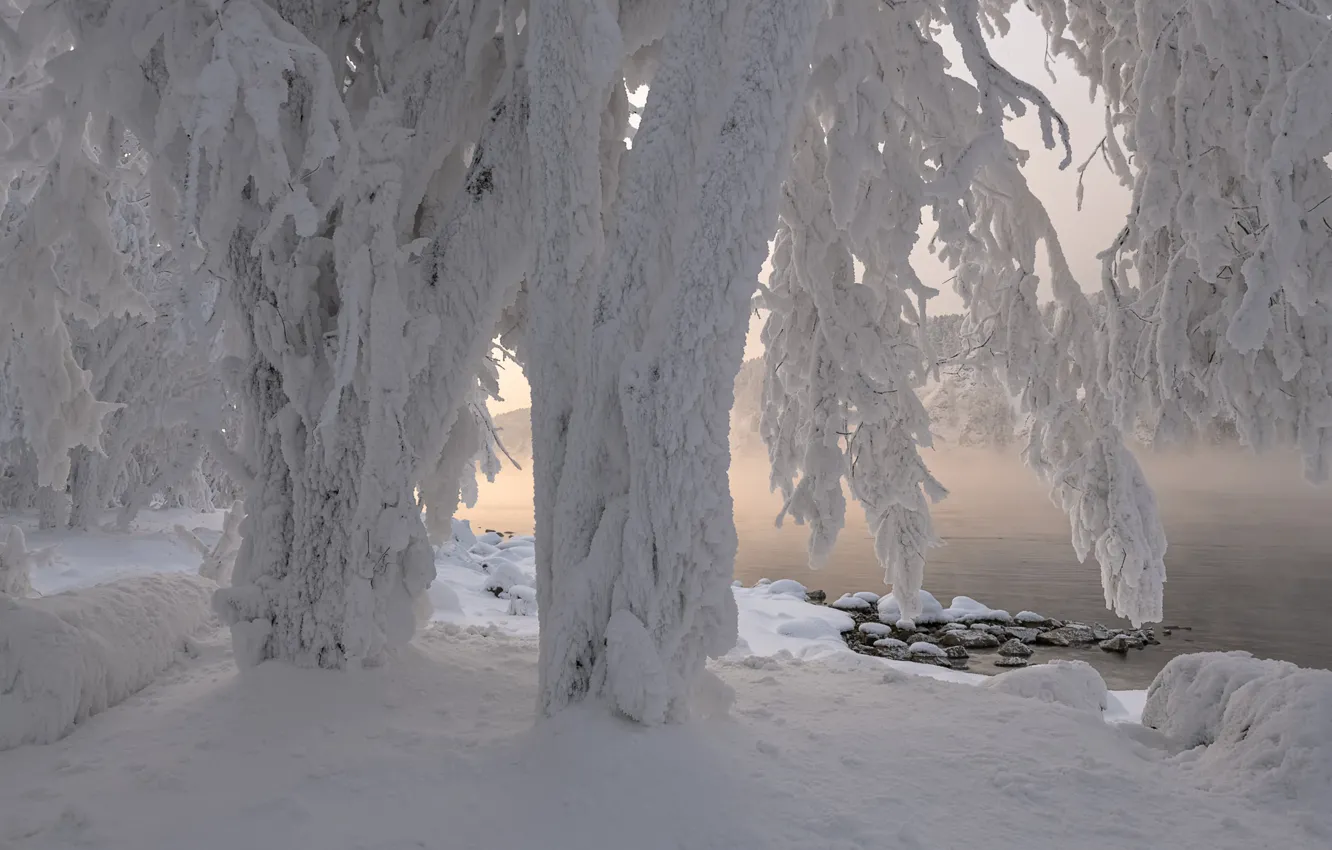 Photo wallpaper winter, snow, trees, nature, river, shore, frost, frost