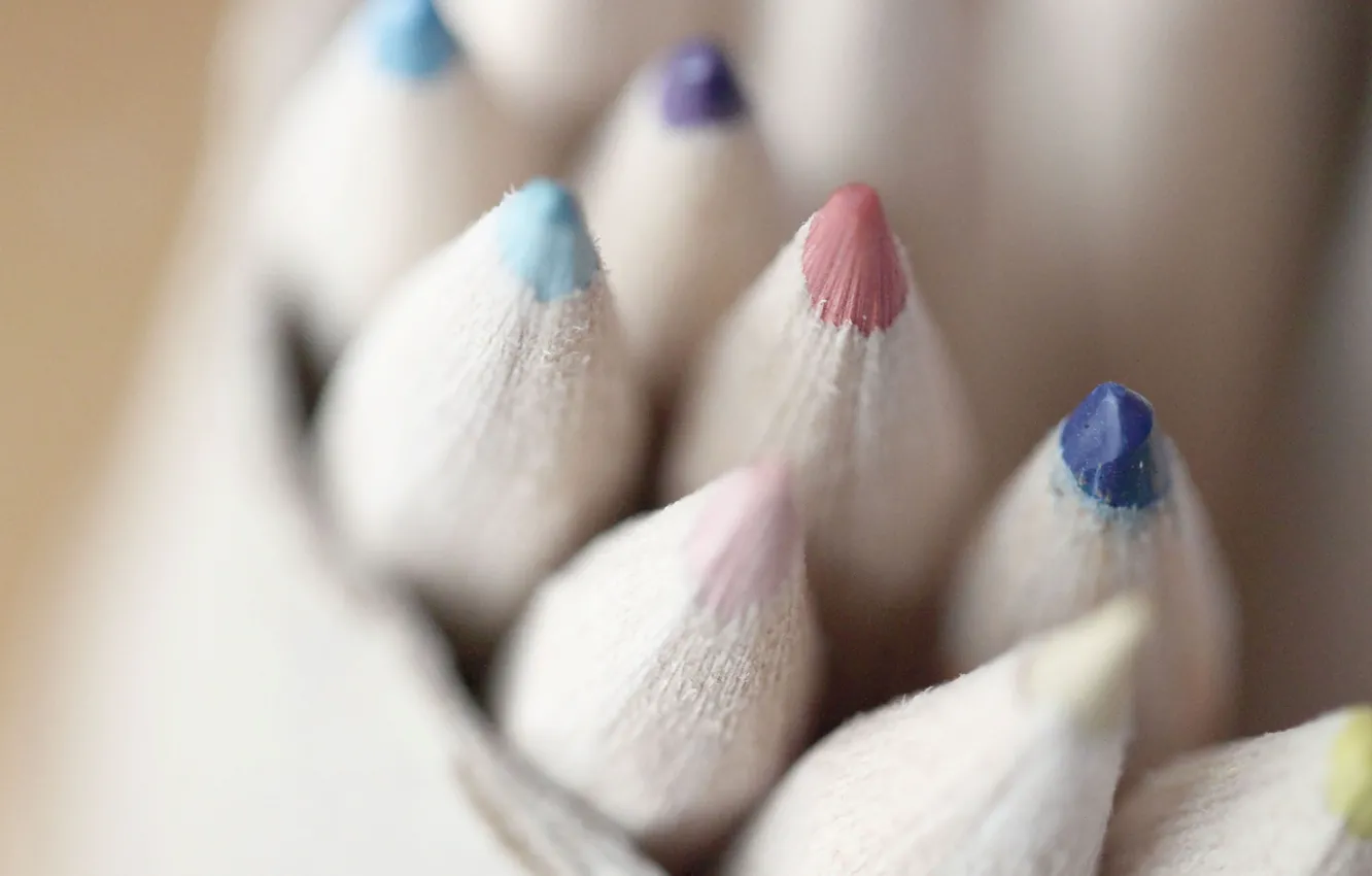 Photo wallpaper color, pencils, pencil