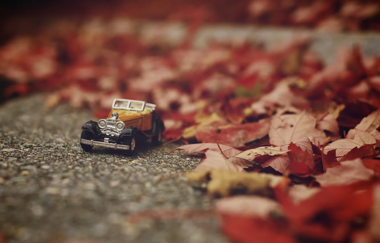 Photo wallpaper machine, autumn, leaves, toy