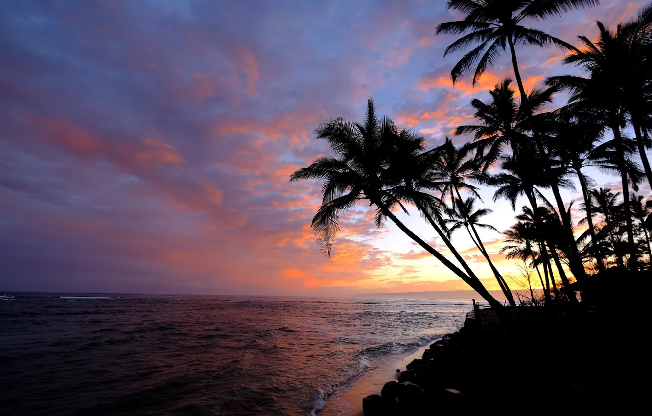 Photo wallpaper the sky, palm trees, the ocean, dawn, morning, Hawaii, Pacific Ocean, Hawaii