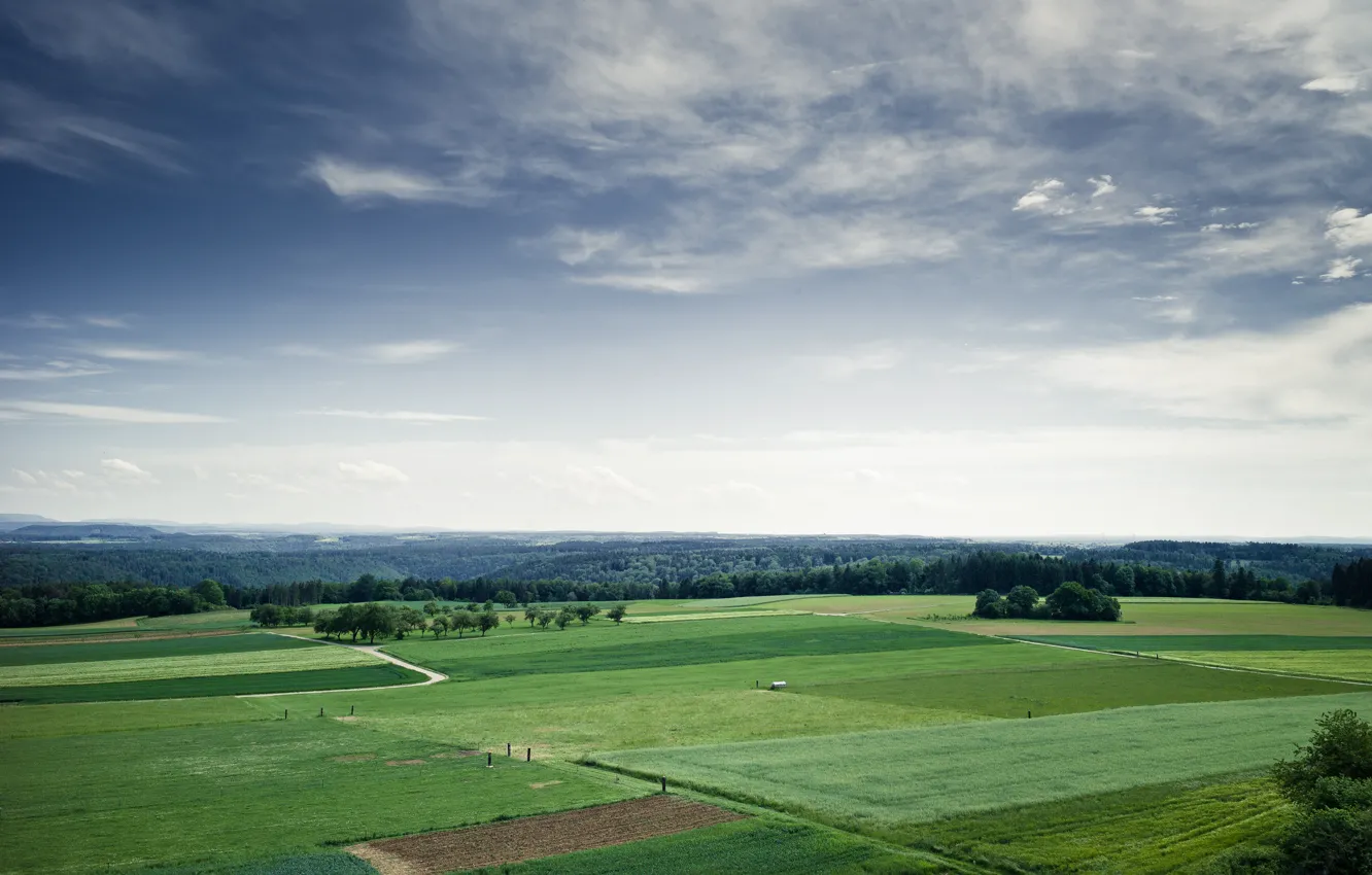 Photo wallpaper greens, field, summer, the sky, clouds