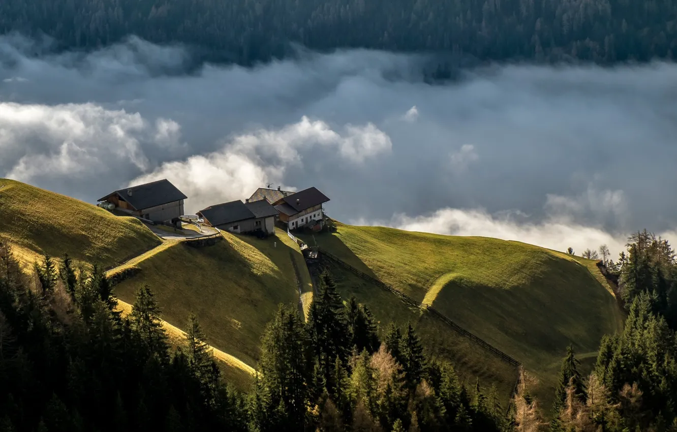 Photo wallpaper forest, clouds, landscape, mountains, hills, home