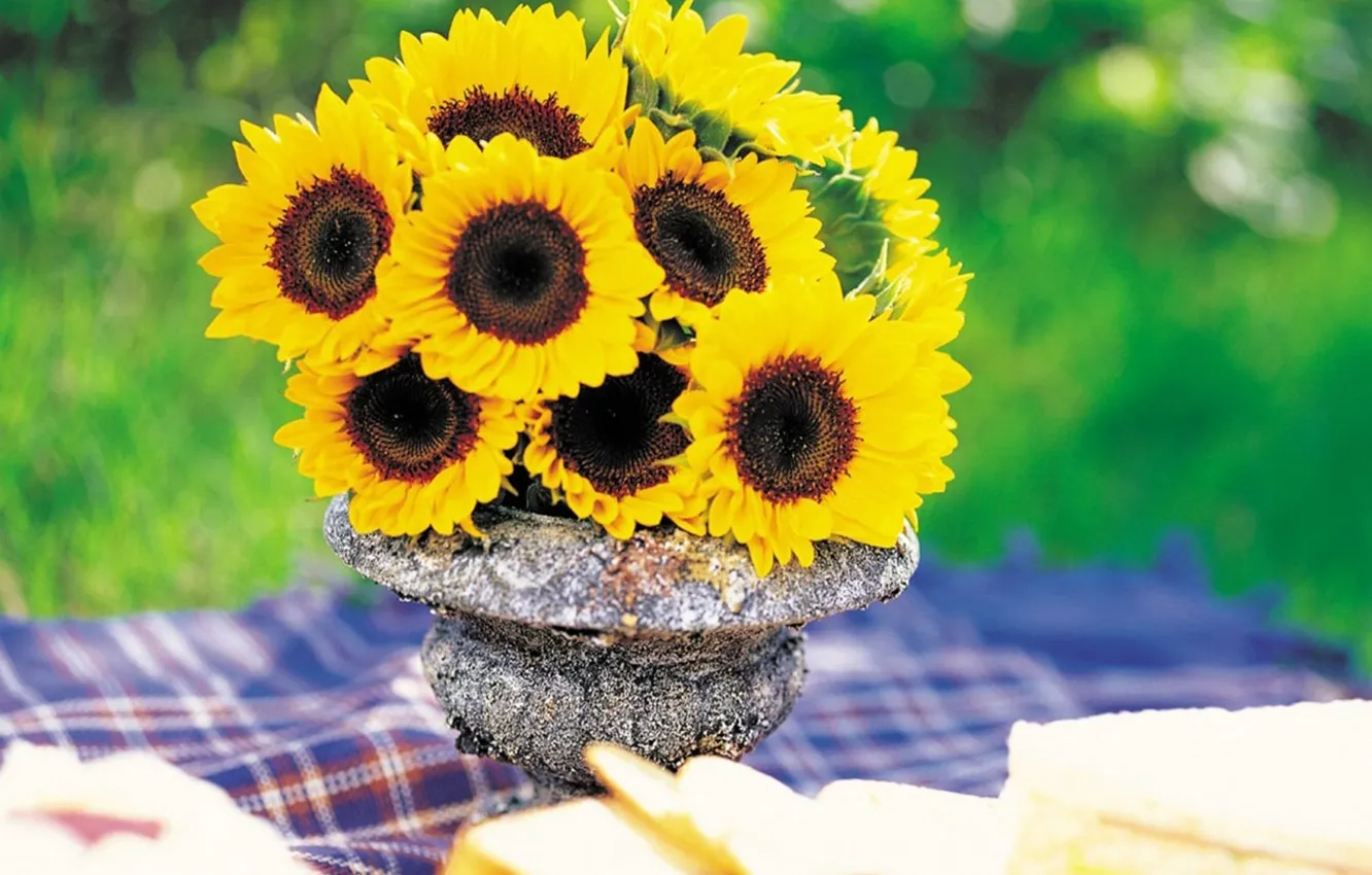 Photo wallpaper greens, sunflowers, blanket, vase, picnic