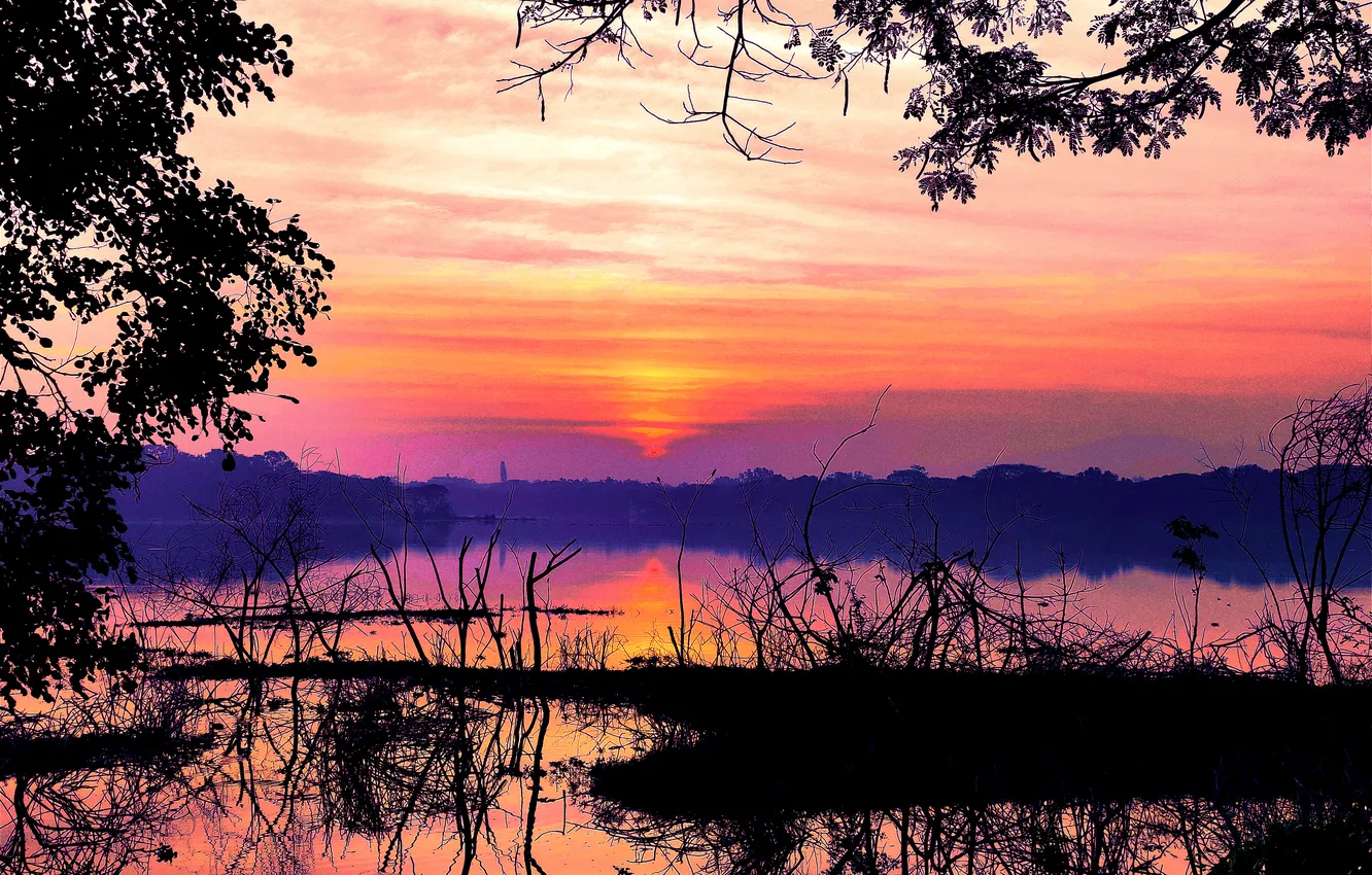 Photo wallpaper trees, water, lake, morning, sun, sunrise, dawn, woods