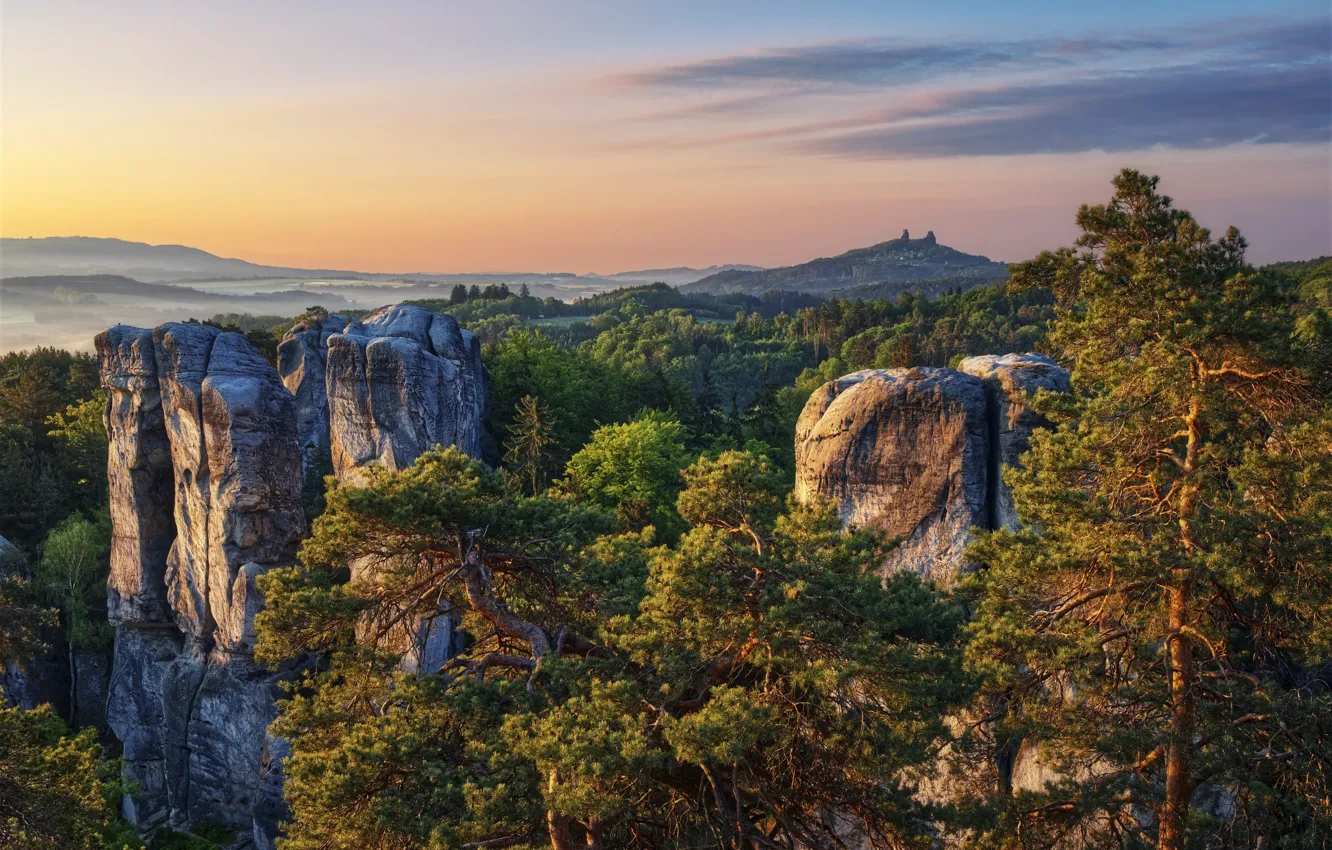 Photo wallpaper trees, landscape, mountains, nature, rocks, morning, Czech Republic, reserve