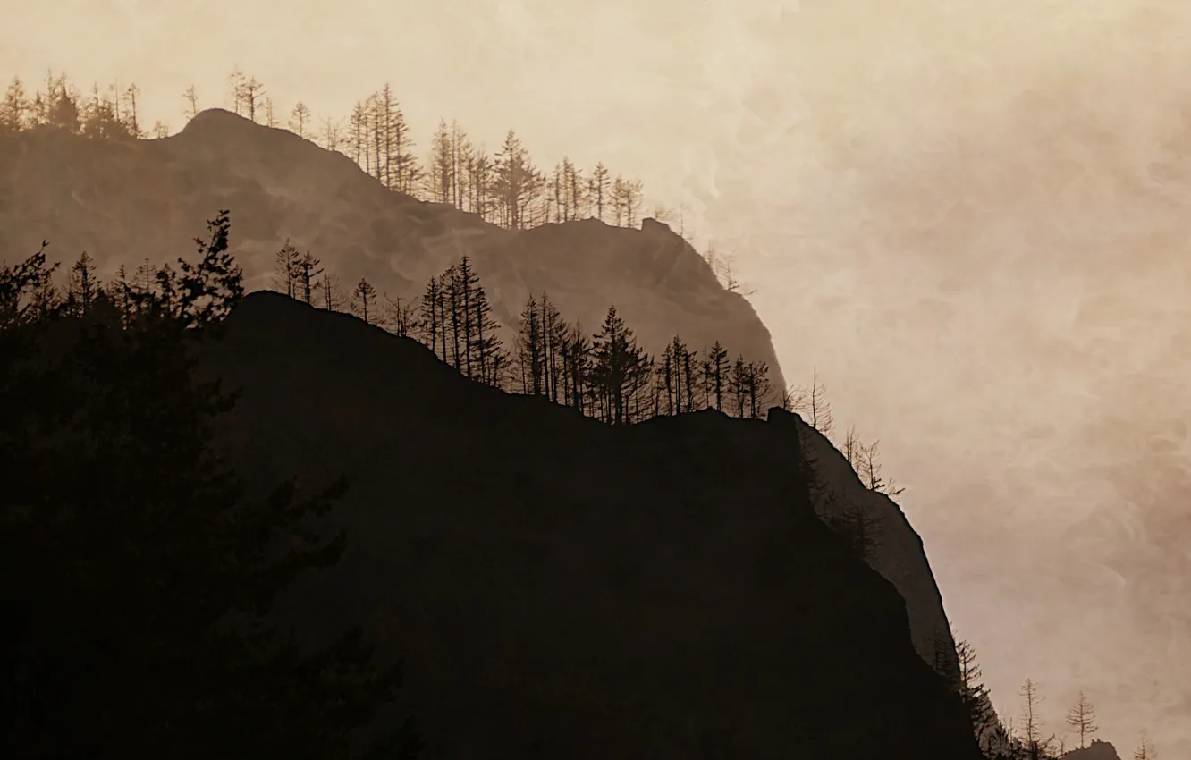 Photo wallpaper forest, mountains, nature