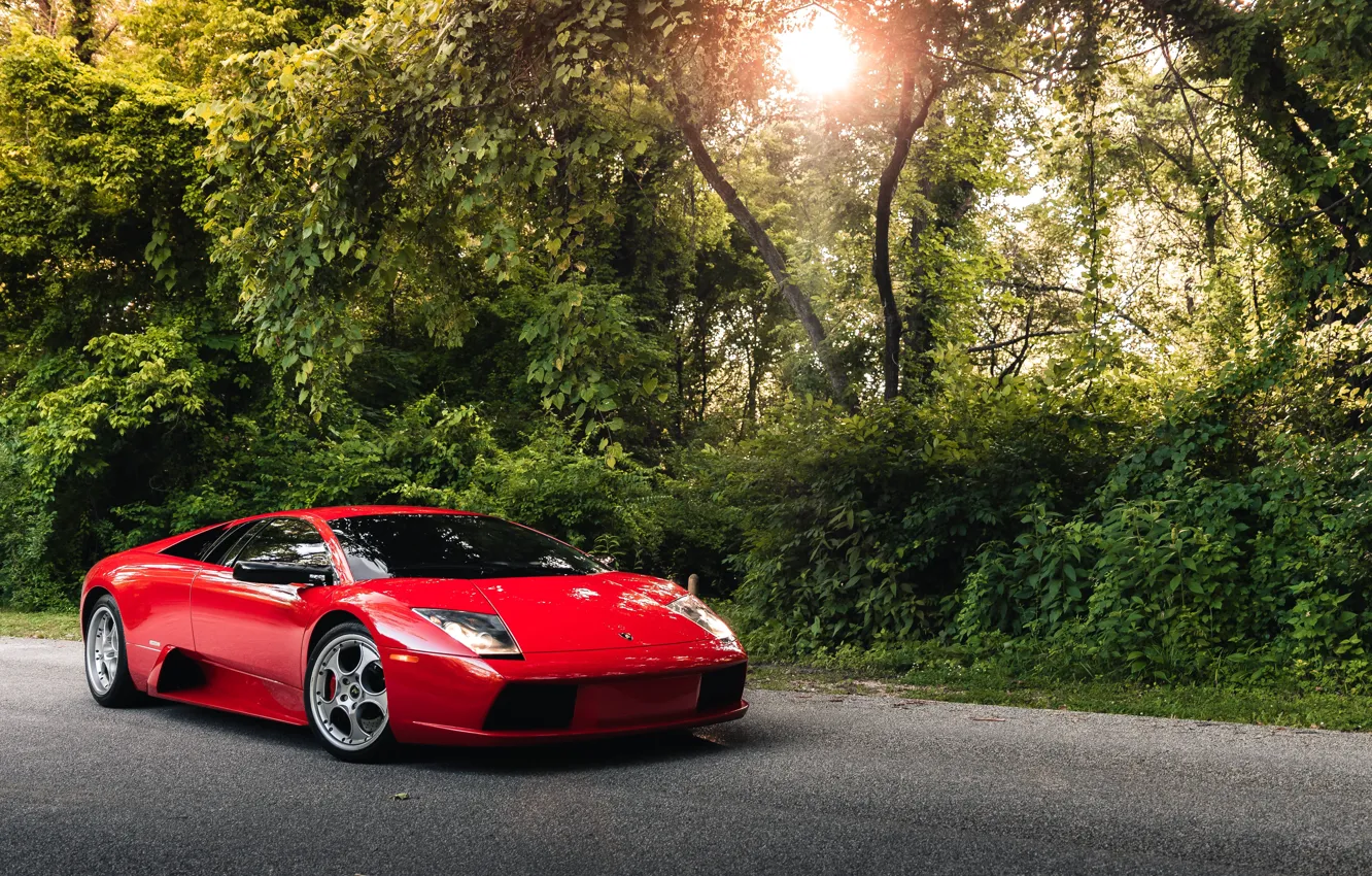 Photo wallpaper Red, Murcielago, Road