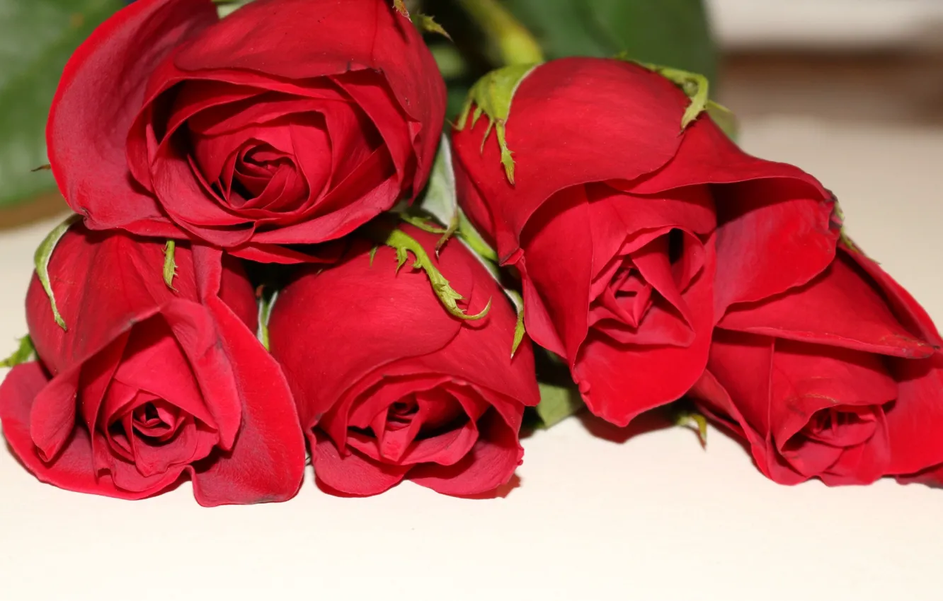 Photo wallpaper roses, bouquet, red roses