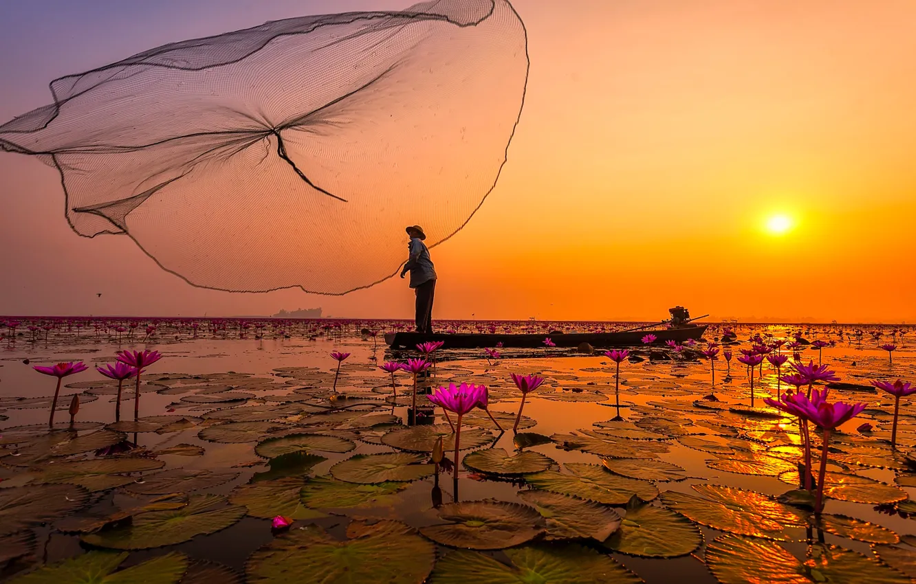 Photo wallpaper flowers, lake, network, Thailand, fishermen, pink Lotus