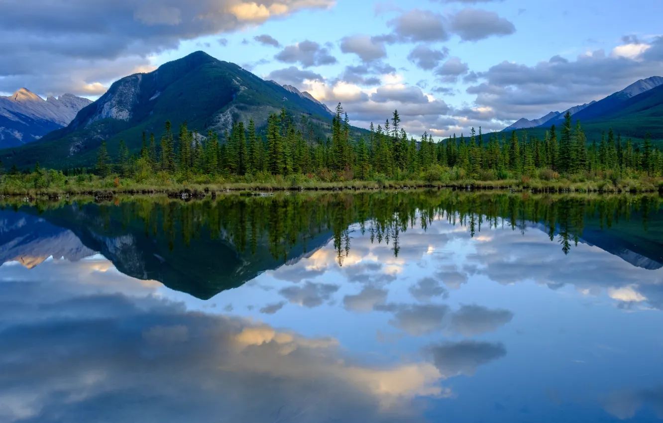 Photo wallpaper forest, mountains, lake, reflection, Canada, Albert, Banff National Park, Alberta
