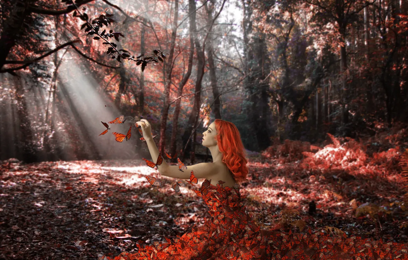 Photo wallpaper forest, girl, butterfly