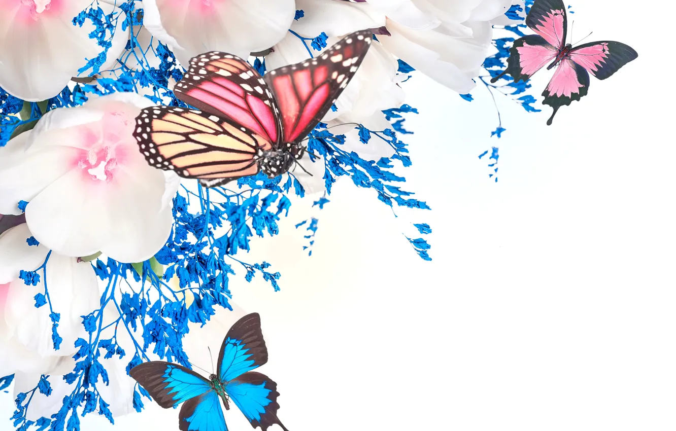Photo wallpaper flowers, collage, butterfly, petals