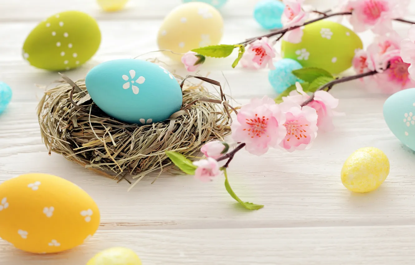 Photo wallpaper flowers, eggs, Easter, socket, flowers, spring, Easter, eggs