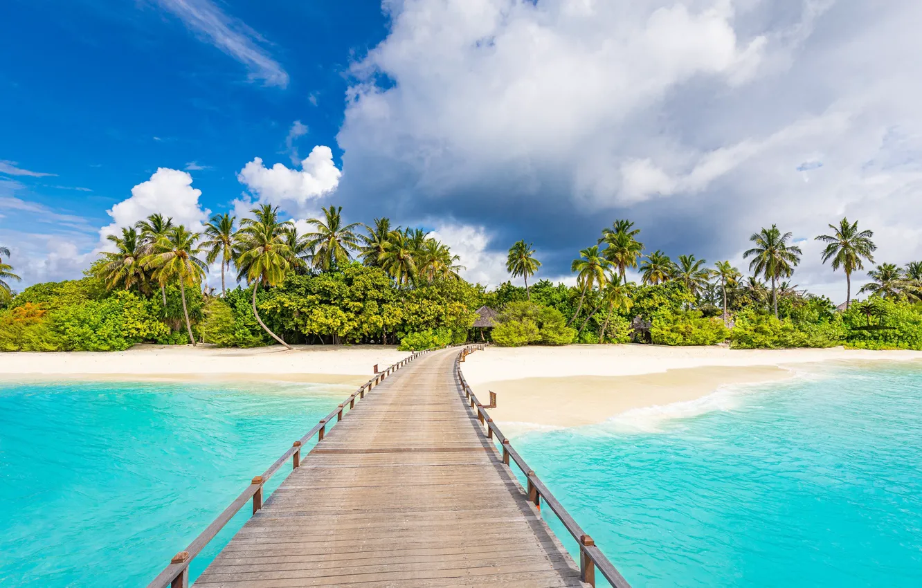 Photo wallpaper beach, bridge, tropics, palm trees, the ocean, coast, The Maldives, Maldives