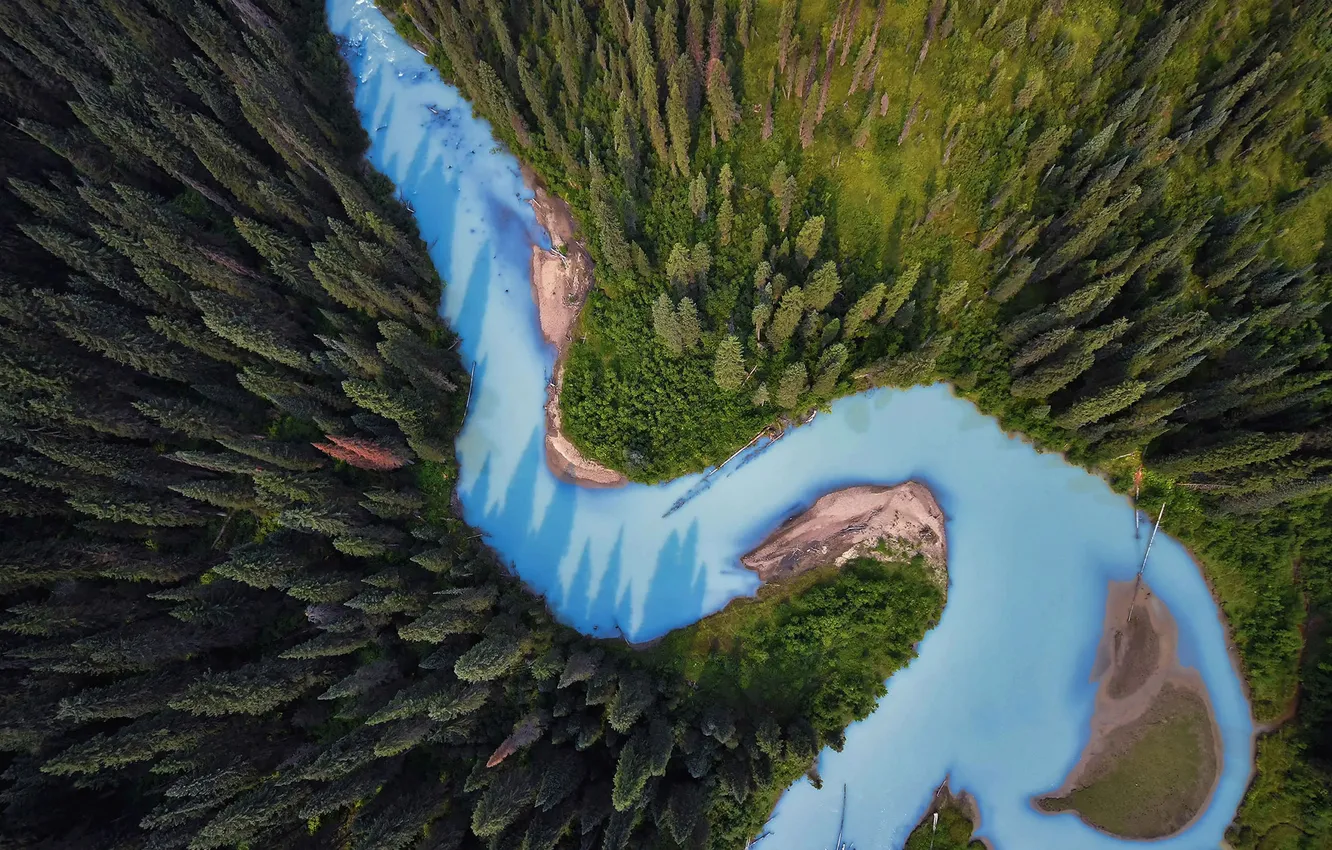 Photo wallpaper forest, trees, landscape, nature, river, plant, the view from the top, relief