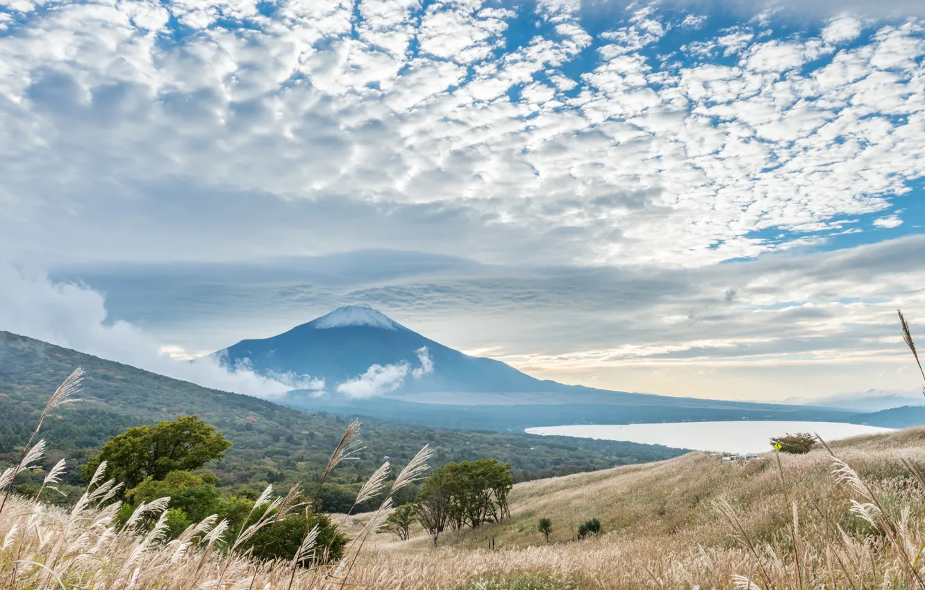 Photo wallpaper the sky, trees, landscape, mountains, Japan, Fuji