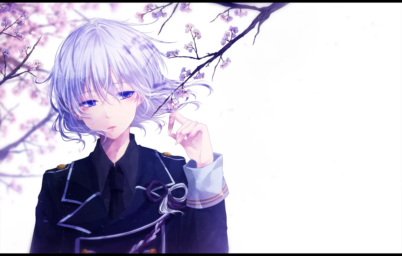 Photo wallpaper flowers, anime, Sakura, art, guy, mokoppe, touken ranbu, honebami toshiro