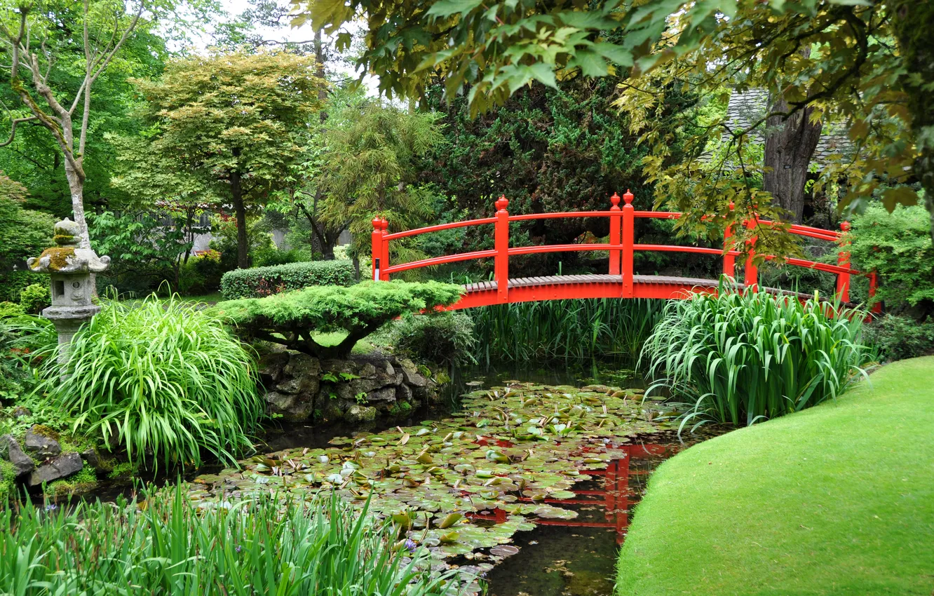 Photo wallpaper greens, grass, trees, pond, garden, reed, the bridge, the bushes