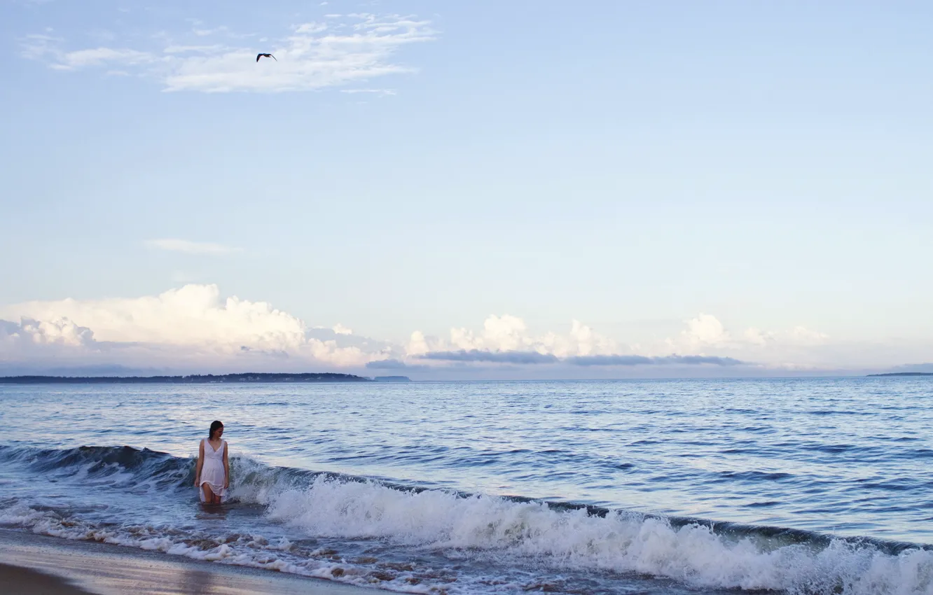Photo wallpaper sea, girl, mood, bird